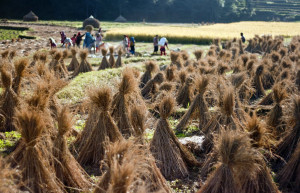 Панаути, Непал, фото № 79314 – фотографии Непала