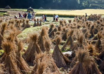Панаути, Непал, фото № 79314 – фотографии Непала