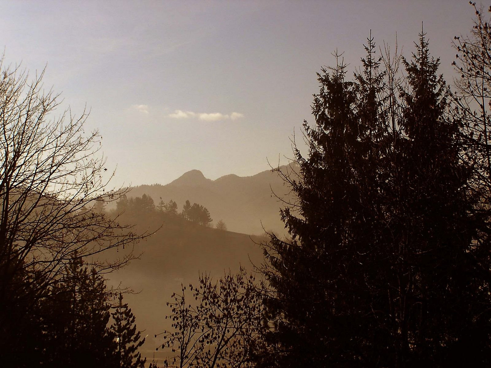 Природа в Колашин, Черногория – фотографии Черногории