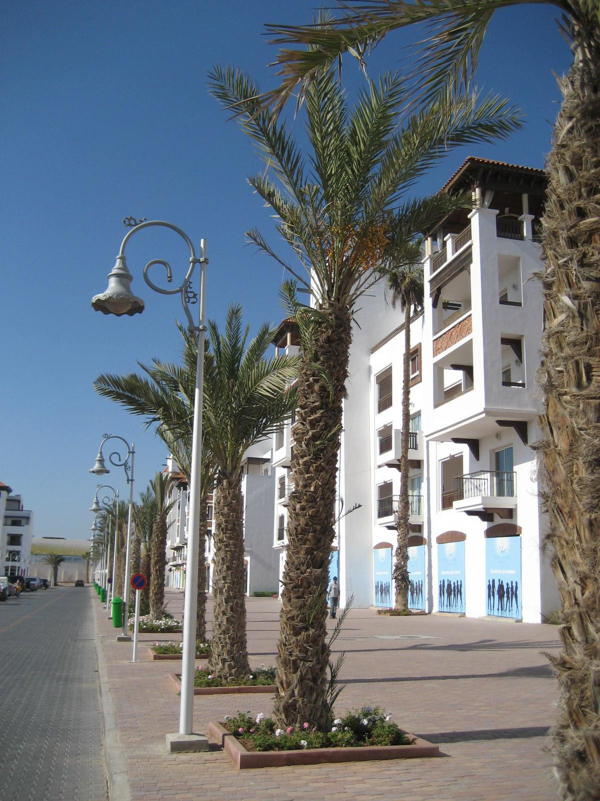 Марокко, фото № 239 – фотографии Марокко