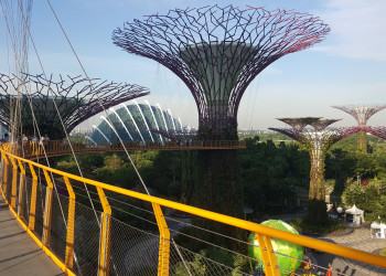 Сады у Залива (Gardens by the Bay). Фото 3 – фотографии Сингапура