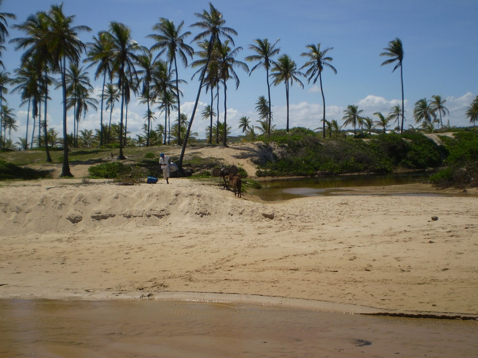 Пляж в Коста-ду-Саупе, Бразилия. Фото 12 – фотографии Бразилии