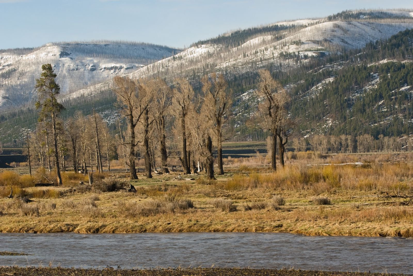 Йеллоустоун Национальный Парк, Вайоминг штат, США, фото № 67723 – фотографии США