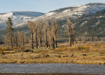 Йеллоустоун Национальный Парк, Вайоминг штат, США, фото № 67723 – фотографии США