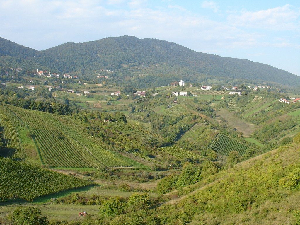 Панорамный вид в Словонии, Хорватия – фотографии Хорватии