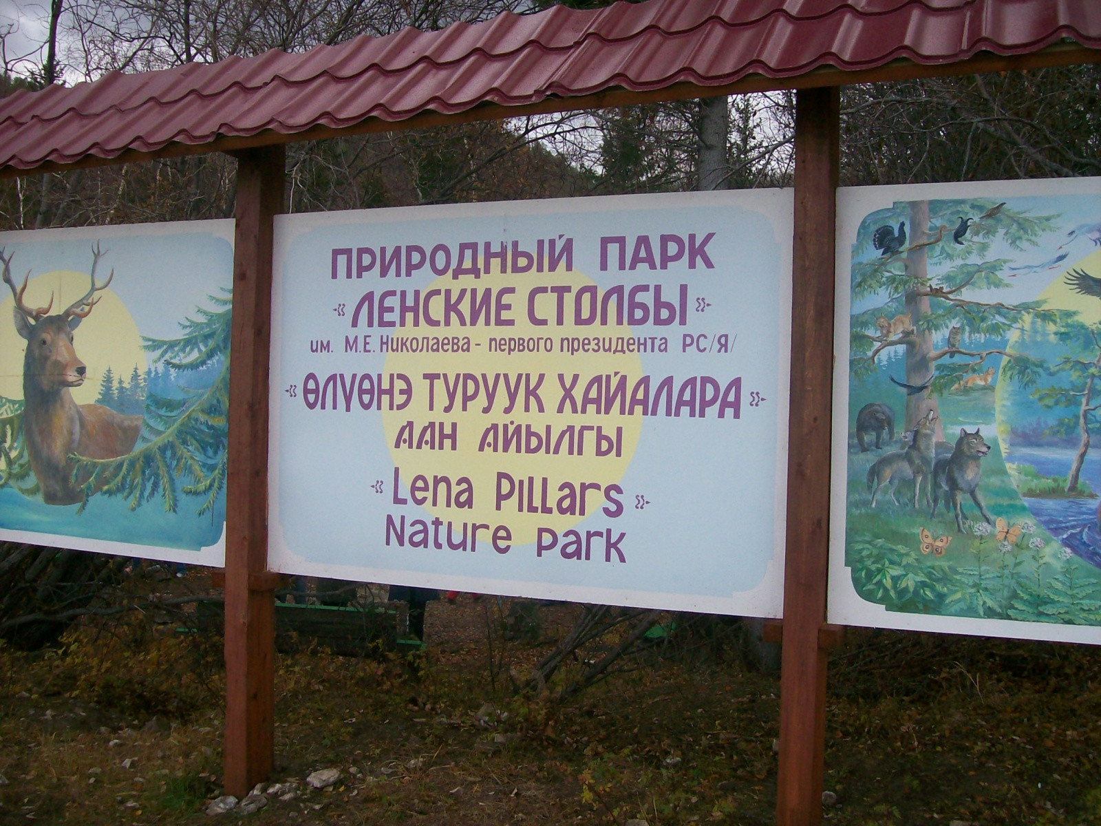 Заповедник Ленские столбы в Якутии. Фото 1 – фотографии России