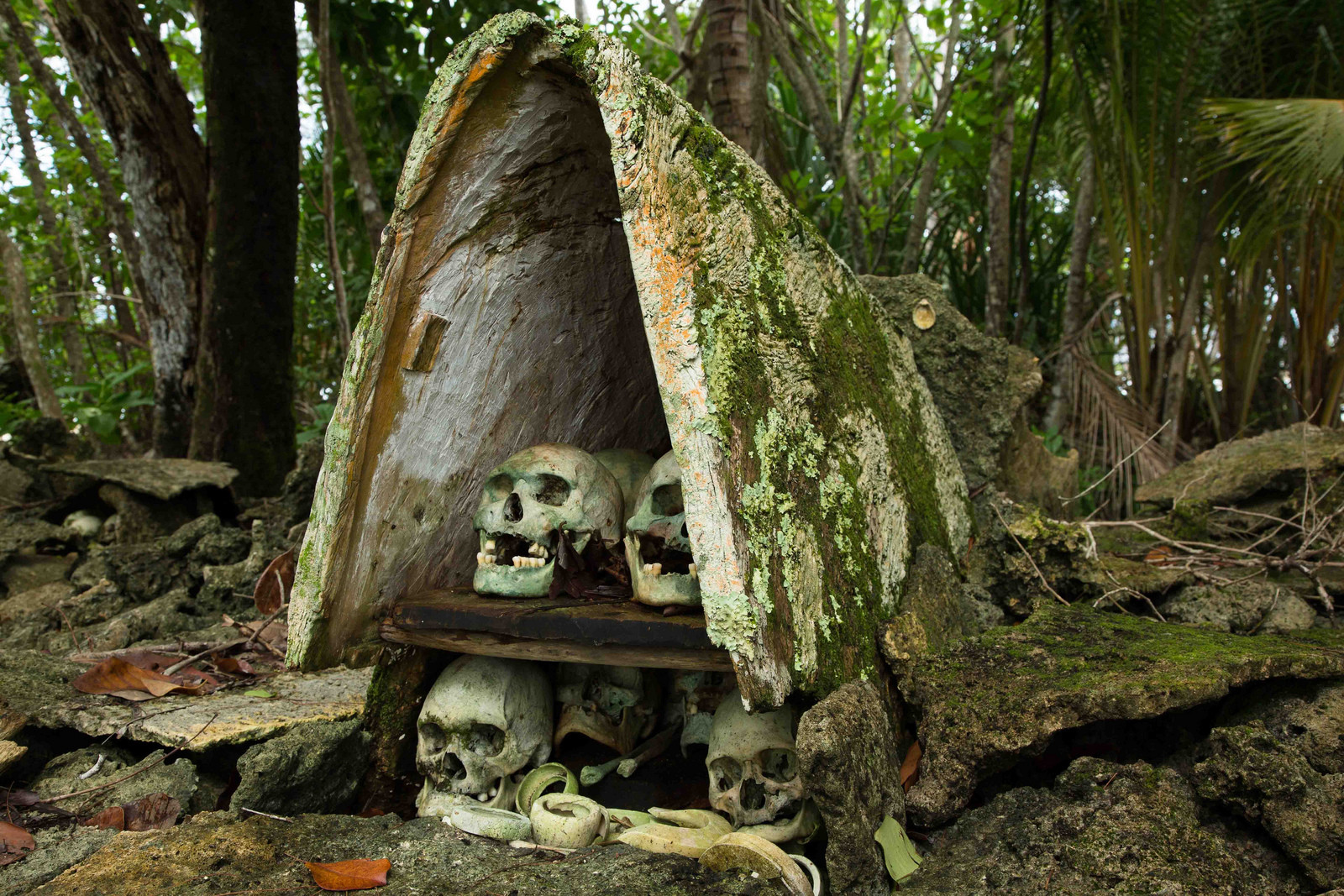 Соломоновы острова. Фото 12 – фотографии Соломоновых Островов