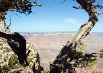 Гранд-Каньон Национальный парк, Аризона штат, США, фото № 67808 – фотографии США