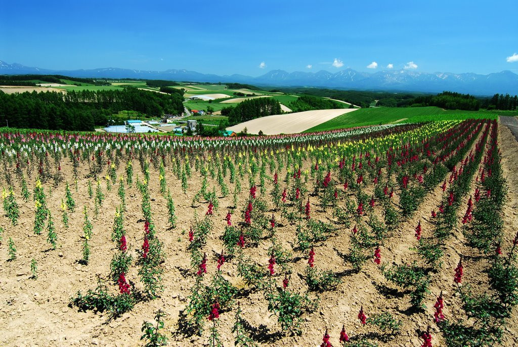 Хоккайдо остров, Хоккайдо регион, Япония, фото № 72729 – фотографии Японии