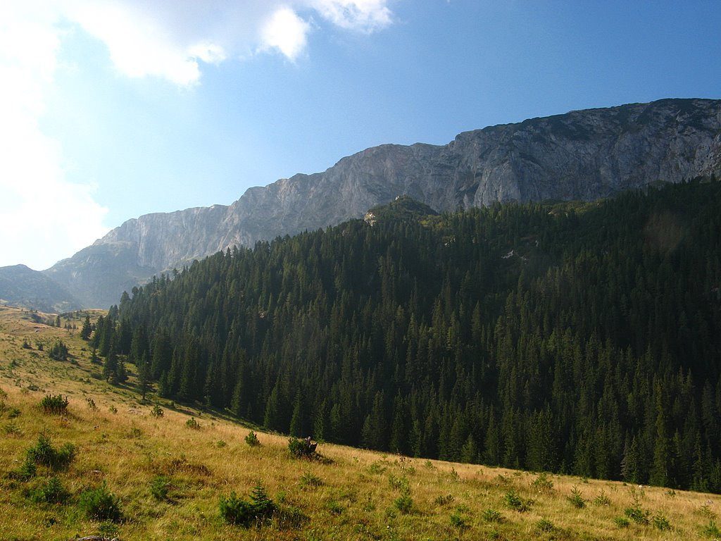 Природа Национального парка, Черногория. Фото 8 – фотографии Черногории