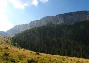 Природа Национального парка, Черногория. Фото 8 – фотографии Черногории