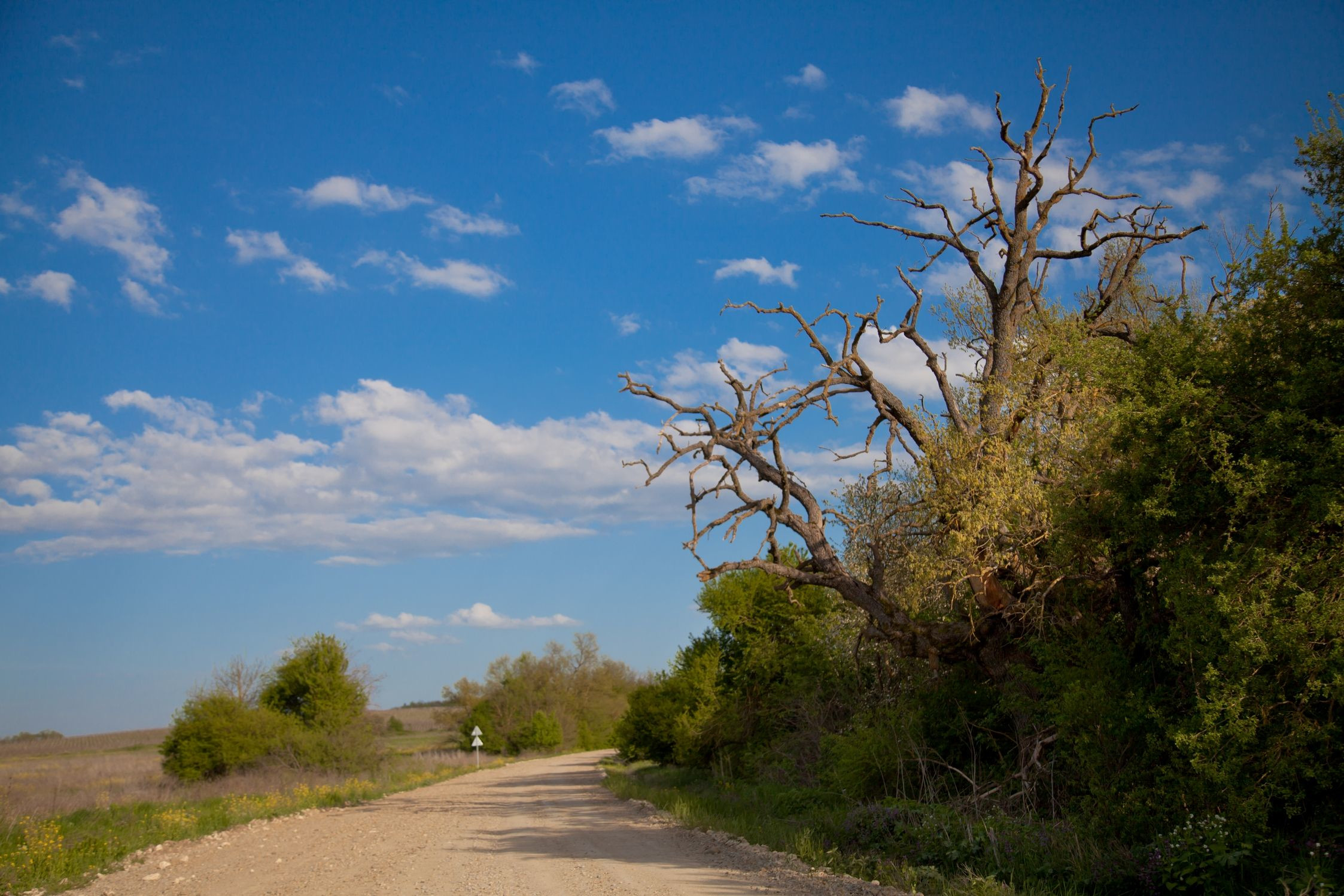 1 – фотографии