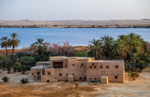 Оазис Сива 8 – фотографии Египта