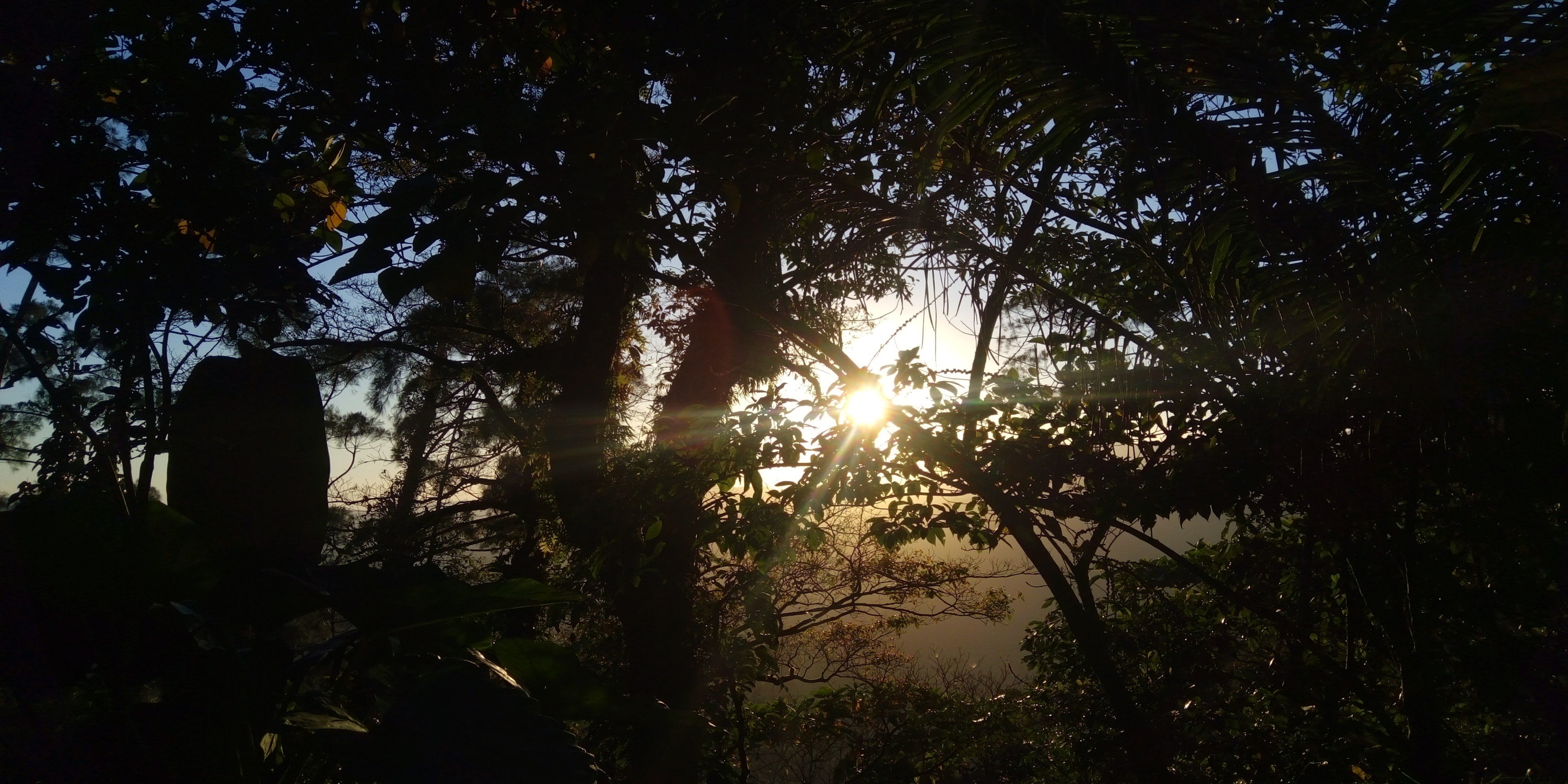 *** – фотографии