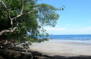 Плайя Брасилито, Гуанакасте провинция, Коста-Рика, фото № 39443 – фотографии Коста-Рики