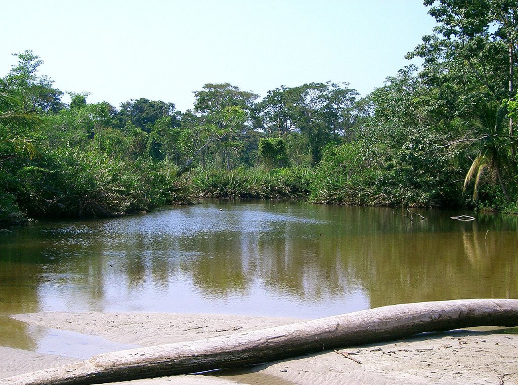 Кауита Национальный Парк, Лимон провинция, Коста-Рика, фото № 40074 – фотографии Коста-Рики