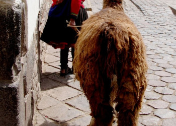 Местный житель на улице Куско, Перу – фотографии Перу