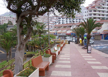 Плайя-де-ла-Арена, Тенерифе остров, Канарские острова, фото № 33507 – фотографии Канарских островов