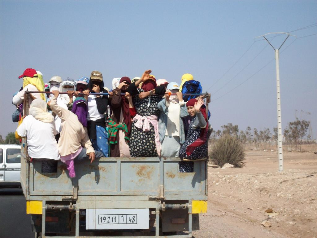 Марокко, фото № 200 – фотографии Марокко