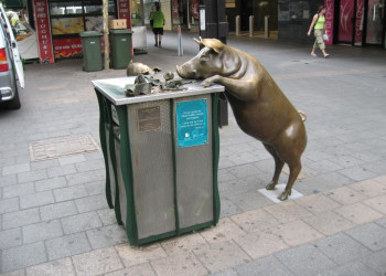 Бронзовая свинка в Аделаиде – фотографии Австралии