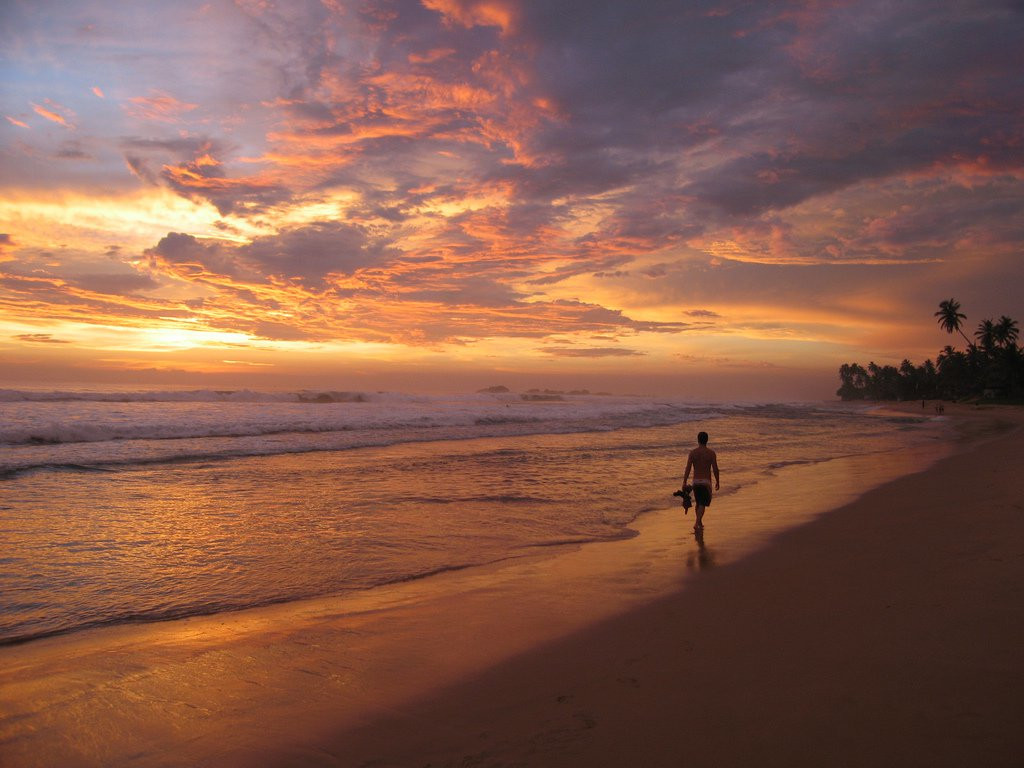 Хиккадува, Шри-Ланка, фото № 52540 – фотографии Шри-Ланки