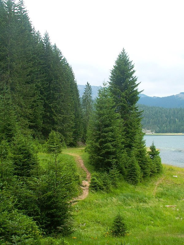 Дурмитор Национальный Парк, Черногория, фото № 53475 – фотографии Черногории
