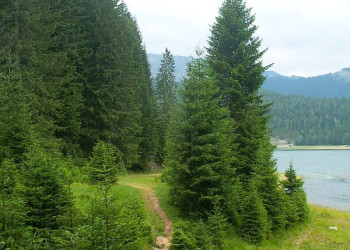 Дурмитор Национальный Парк, Черногория, фото № 53475 – фотографии Черногории