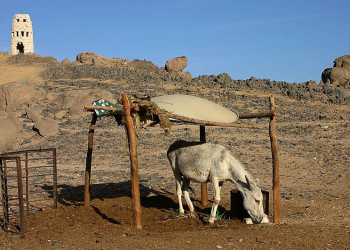 Египет, фото № 609 – фотографии Египта