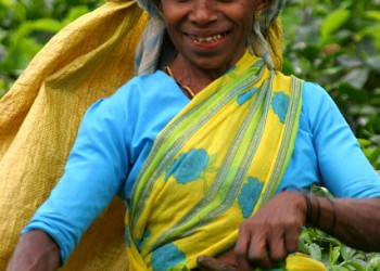 Шри-Ланка, фото № 1135 – фотографии Шри-Ланки