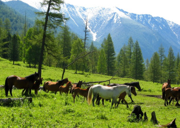 Алтай – фотографии России