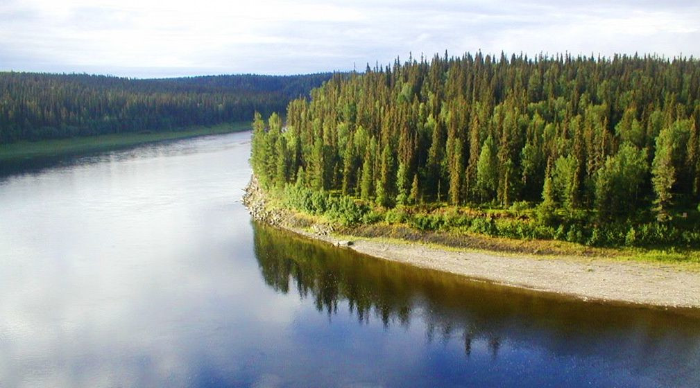 Река Щугор – фотографии России
