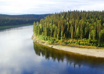 Река Щугор – фотографии России