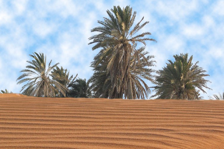 ОАЭ, фото № 1561 – фотографии ОАЭ