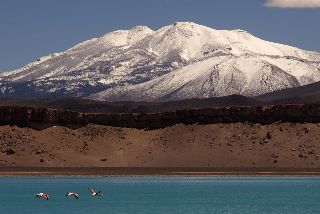 Laguna Verde, au Chili, et ses rares flamants rose – фотографии Аргентины