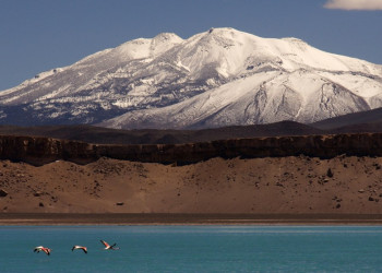 Laguna Verde, au Chili, et ses rares flamants rose – фотографии Аргентины