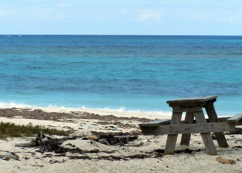 Берег на острове Абако, Багамские острова. Фото 5 – фотографии Багамских островов