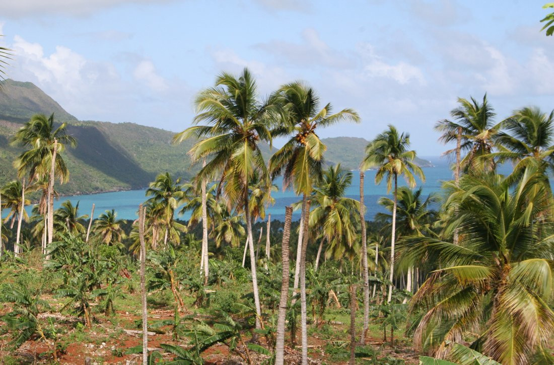 Самана, Доминикана, фото № 30598 – фотографии Доминиканы