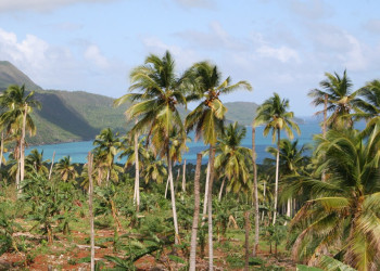 Самана, Доминикана, фото № 30598 – фотографии Доминиканы