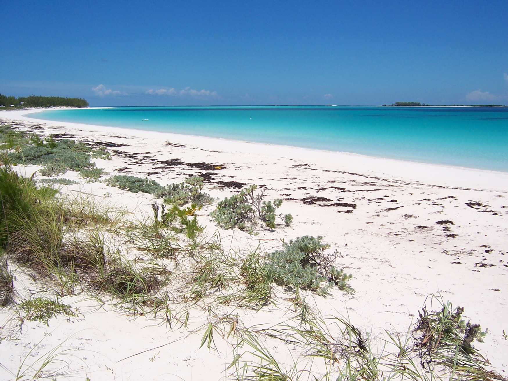 Берега на острове Берри Айлендс, Багамские острова. Фото 22 – фотографии Багамских островов