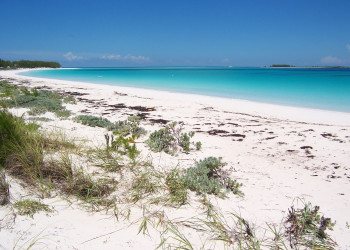 Берега на острове Берри Айлендс, Багамские острова. Фото 22 – фотографии Багамских островов