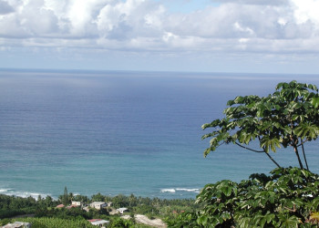 Море на Восточном побережье, Барбадос. Фото 6 – фотографии Барбадоса