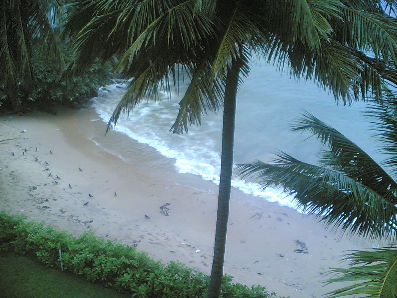 Маунт Лавиния, Шри-Ланка, фото № 51799 – фотографии Шри-Ланки