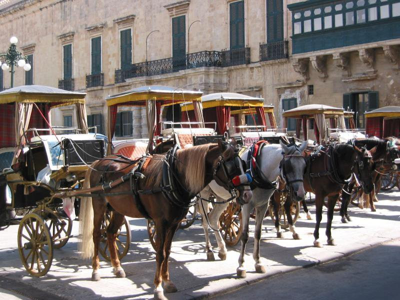 Валлетта, Мальта остров, Мальта, фото № 42033 – фотографии Мальты