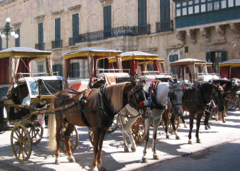 Валлетта, Мальта остров, Мальта, фото № 42033 – фотографии Мальты