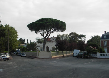 Дома в Аркашоне, Франция – фотографии Франции