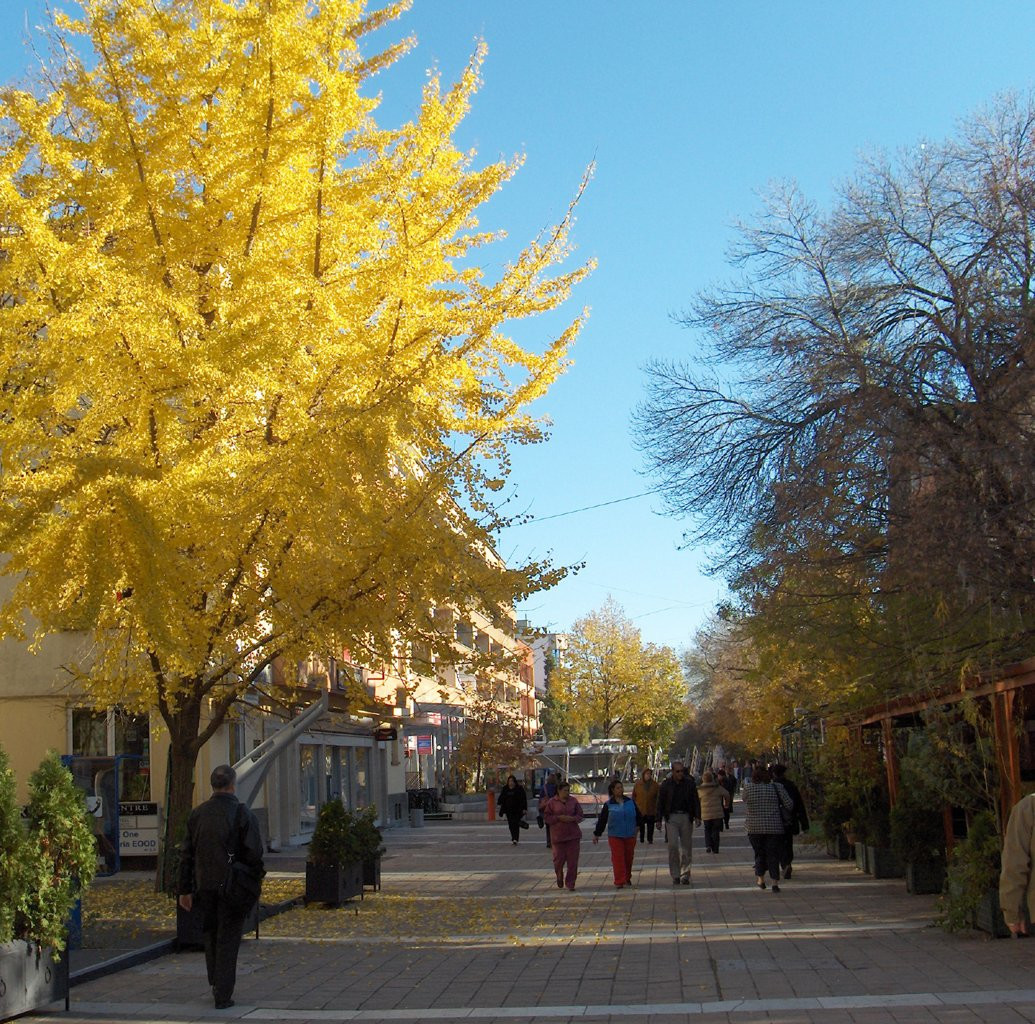 Осень в Хасково, Болгария. Фото 1 – фотографии Болгарии