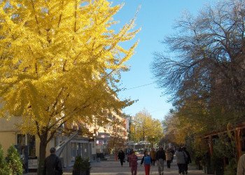 Осень в Хасково, Болгария. Фото 1 – фотографии Болгарии