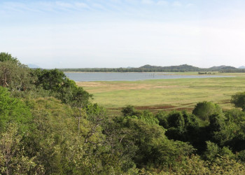 Кандалама, Шри-Ланка, фото № 51281 – фотографии Шри-Ланки