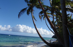 Намена Лала остров, Вануа Леву группа островов, Фиджи, фото № 49315 – фотографии Фиджи