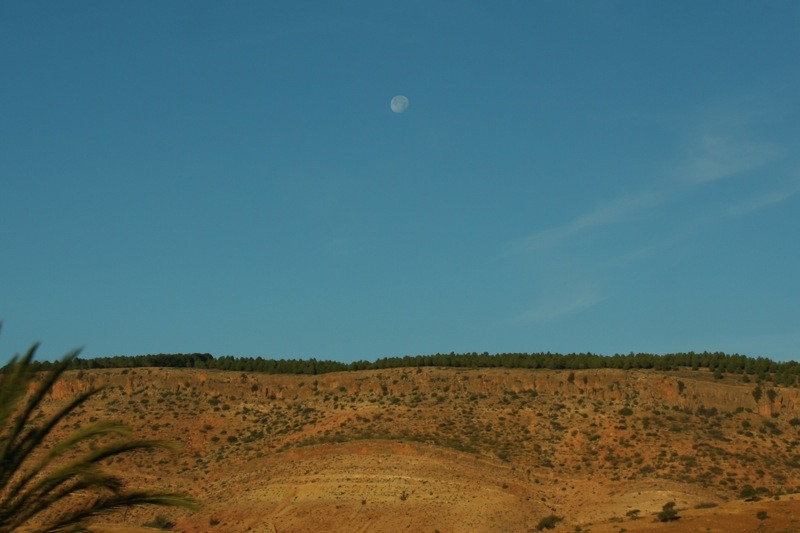 Уарзазат, Марокко, фото № 8354 – фотографии Марокко